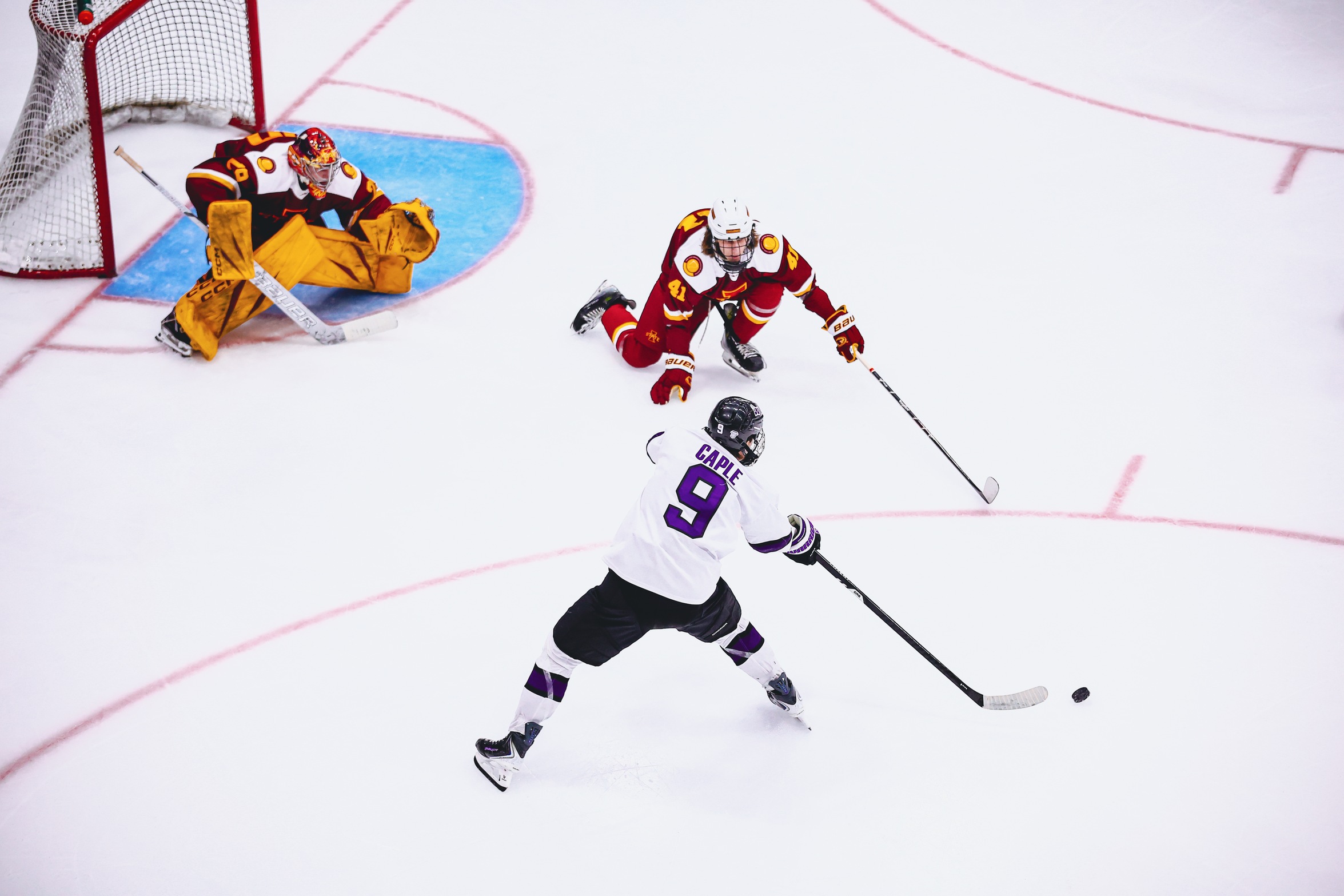 Waldorf Hockey Falls to Illinois State